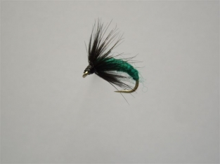 Size 16 Pupa Green